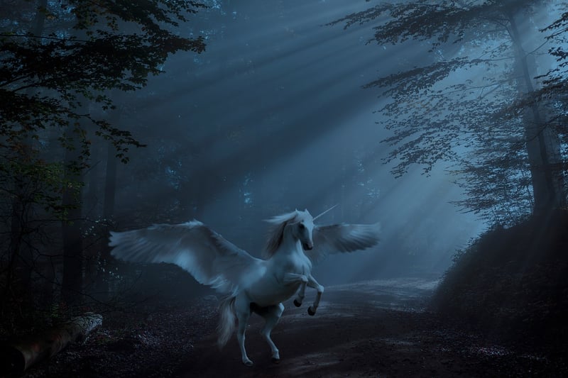 Unicorn Elixirs